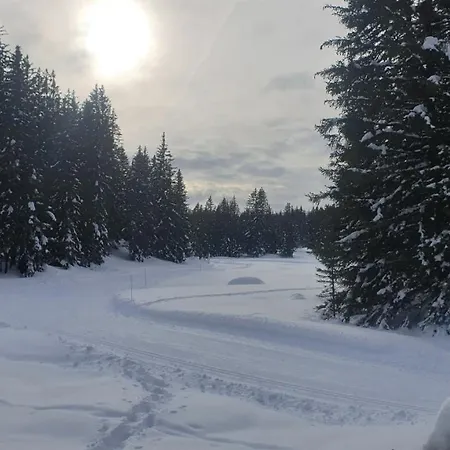 فندق Le Mont Bisanne