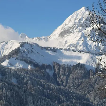 Le Mont Bisanne Hotell