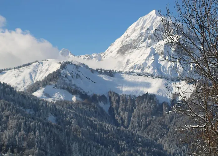Le Mont Bisanne Hotel
